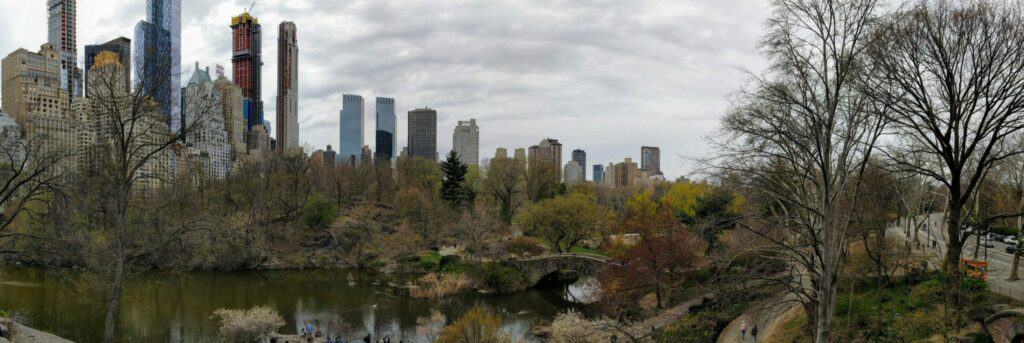 Central Park and NYC skyline