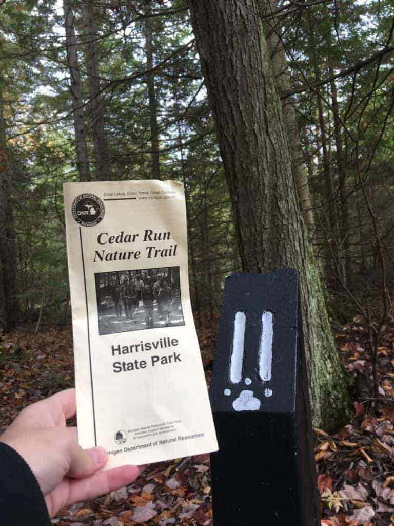 Nature trail brochure