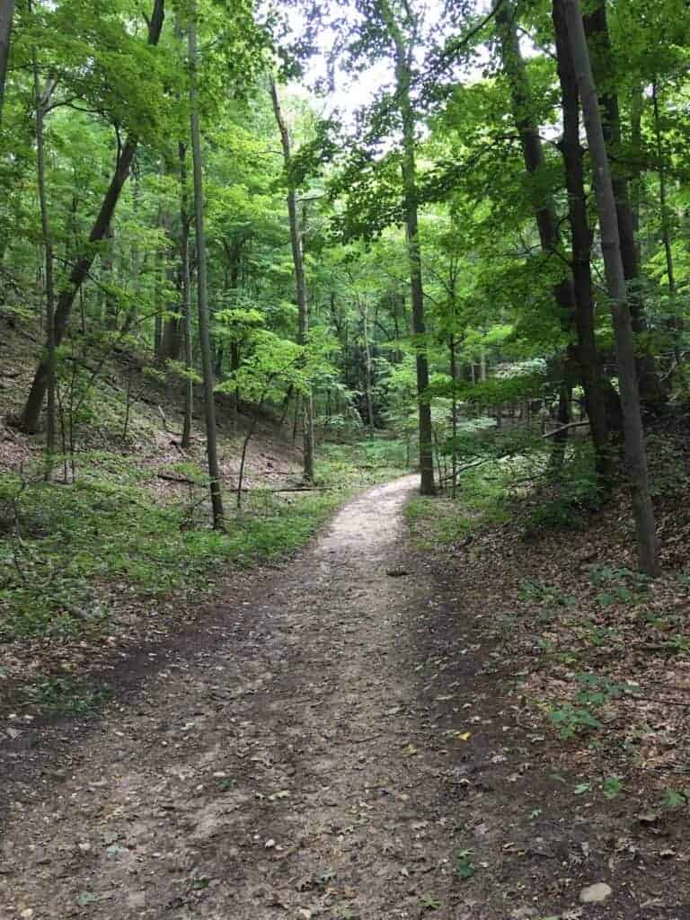 Trail at Saugatuck Dunes State Park
